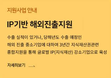 글로벌IP스타기업 지원